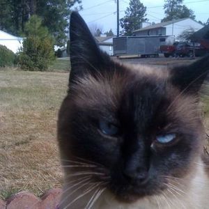 Meet your Posher, Kim